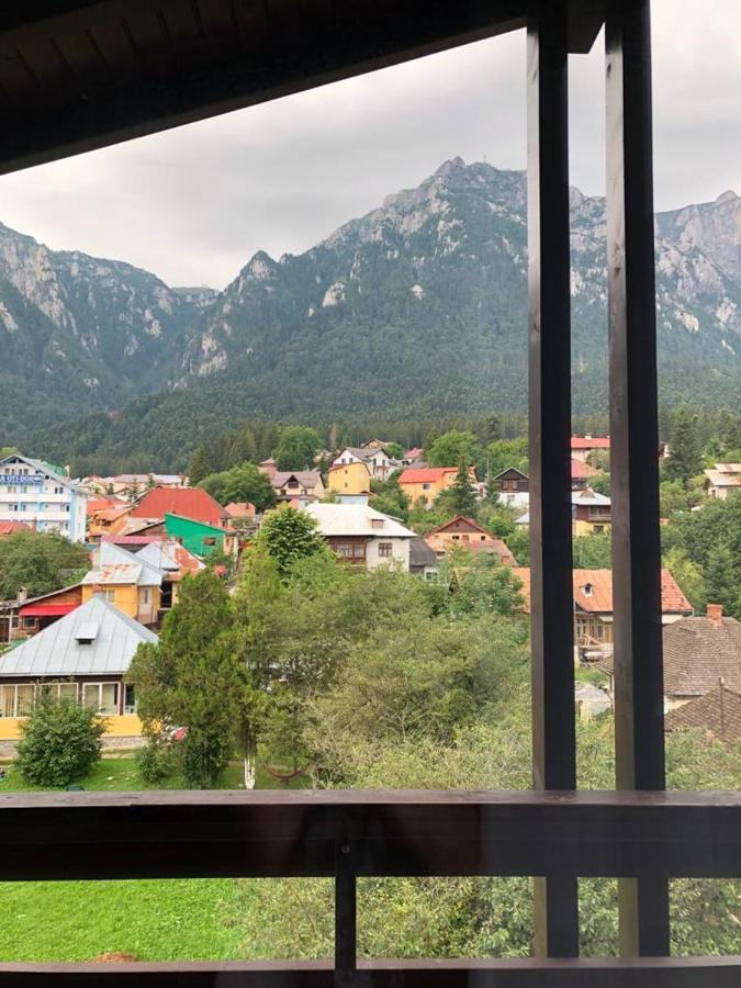 Elena-Maria Apartments Buşteni Esterno foto