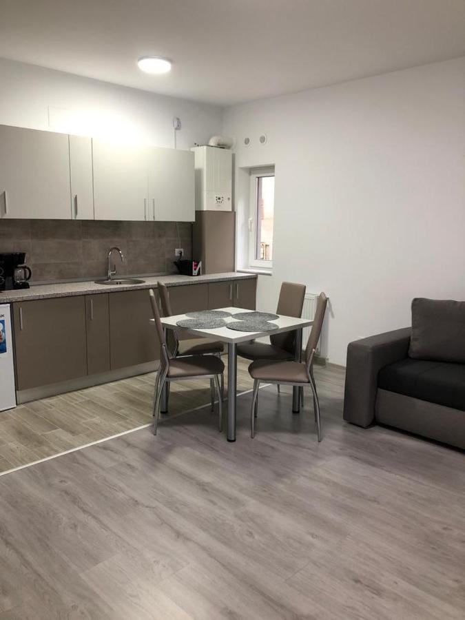 Elena-Maria Apartments Buşteni Esterno foto