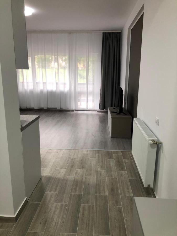Elena-Maria Apartments Buşteni Esterno foto