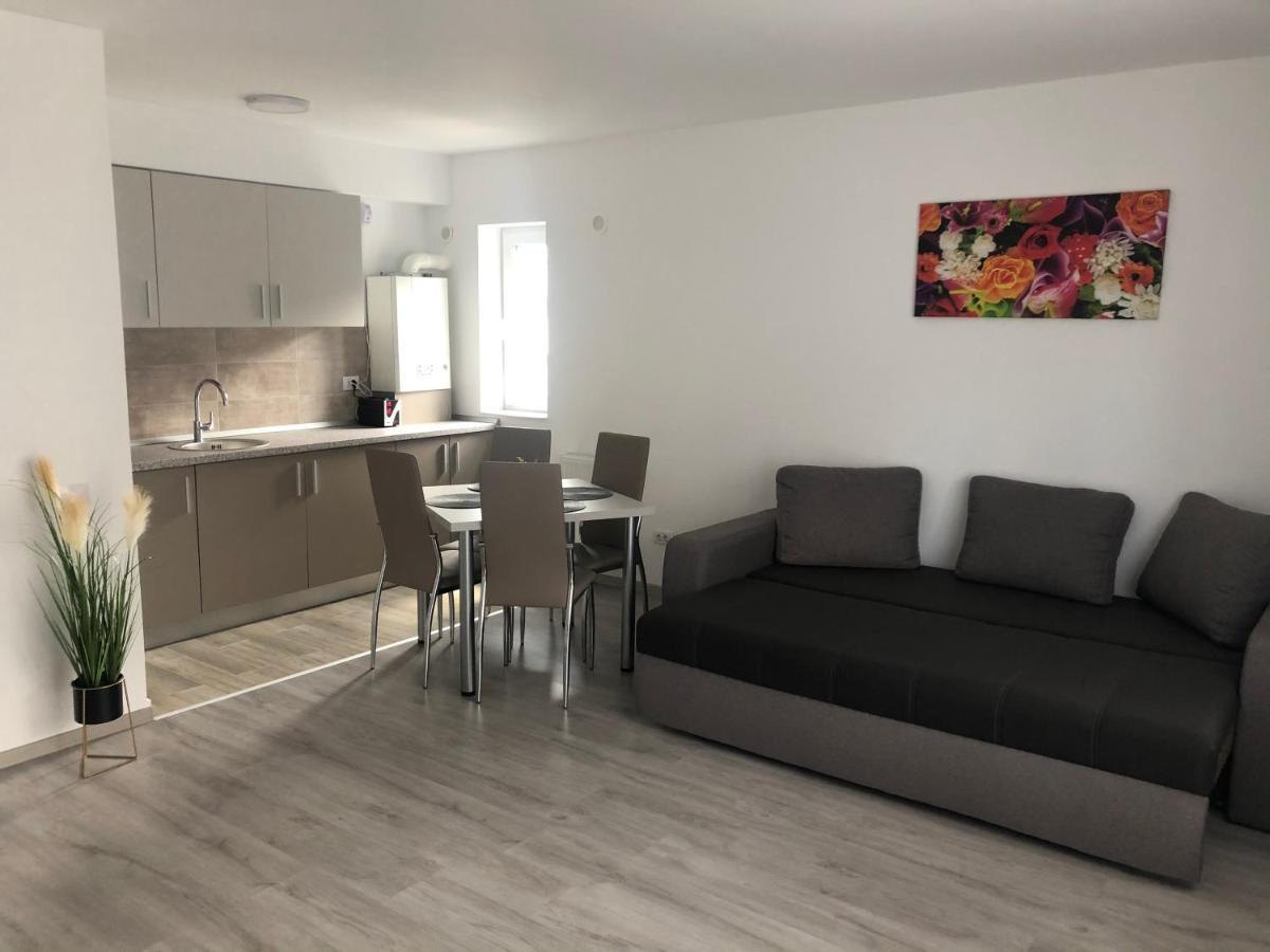 Elena-Maria Apartments Buşteni Esterno foto